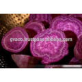 Japanese purple sweet potato powder prices for animal feed best quality-Gvaco